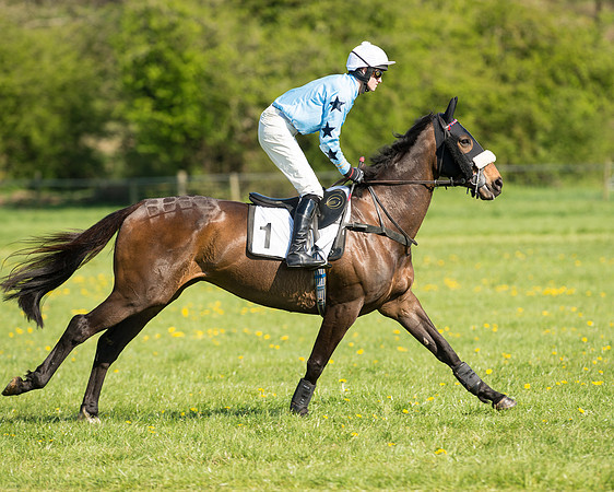 Race 5 - Restricted Race (28 of 92).jpg