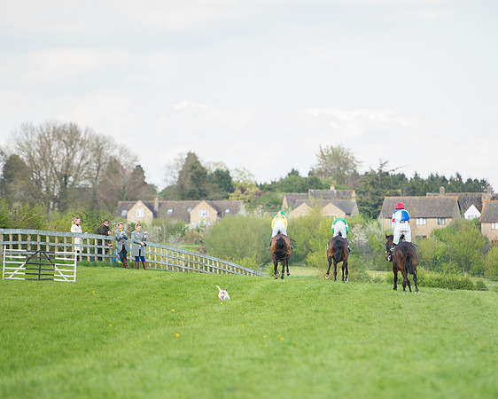 Race 6 - Intermediate Race (54 of 61).jpg