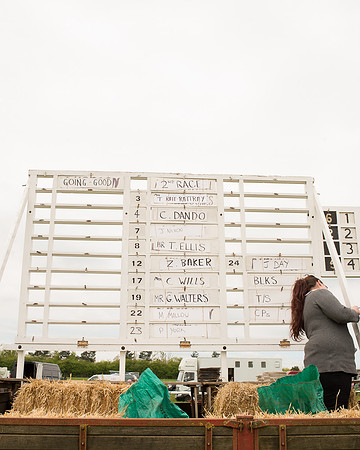 Race 2 - Aga Open Maiden (1 of 151).jpg