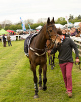 Race 2 - Aga Open Maiden (4 of 151).jpg