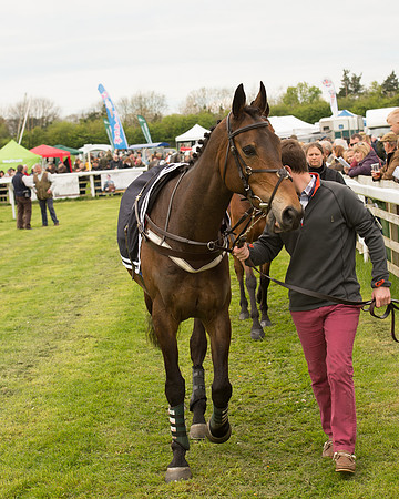 Race 2 - Aga Open Maiden (4 of 151).jpg