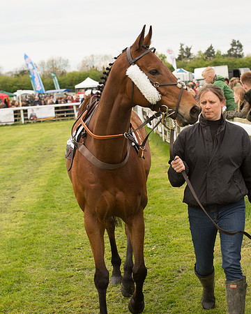 Race 2 - Aga Open Maiden (7 of 151).jpg