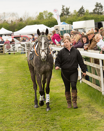 Race 2 - Aga Open Maiden (11 of 151).jpg