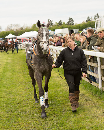 Race 2 - Aga Open Maiden (12 of 151).jpg