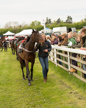 Race 2 - Aga Open Maiden (14 of 151).jpg