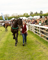 Race 2 - Aga Open Maiden (16 of 151).jpg