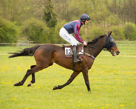 Race 2 - Aga Open Maiden (17 of 151).jpg
