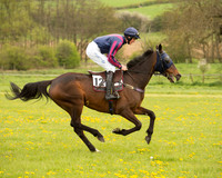 Race 2 - Aga Open Maiden (18 of 151).jpg