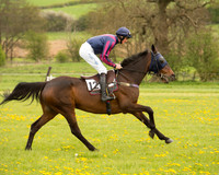 Race 2 - Aga Open Maiden (19 of 151).jpg