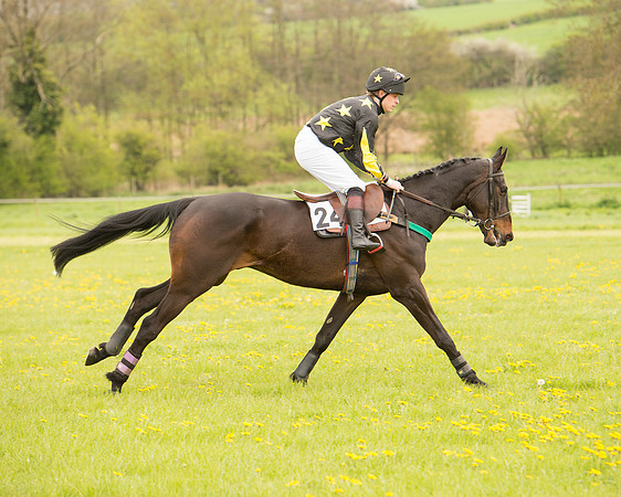 Race 2 - Aga Open Maiden (21 of 151).jpg