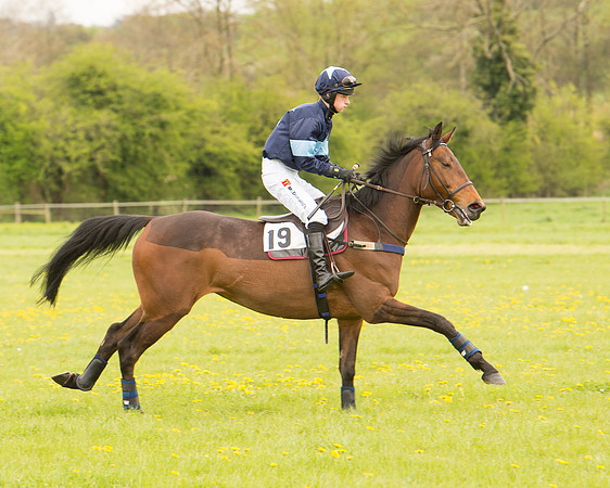 Race 2 - Aga Open Maiden (22 of 151).jpg
