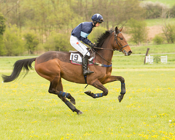 Race 2 - Aga Open Maiden (23 of 151).jpg