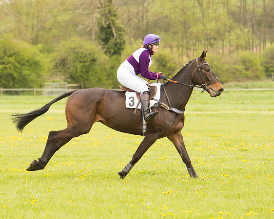Race 2 - Aga Open Maiden (24 of 151).jpg