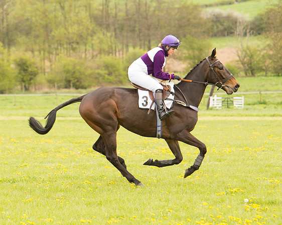 Race 2 - Aga Open Maiden (25 of 151).jpg