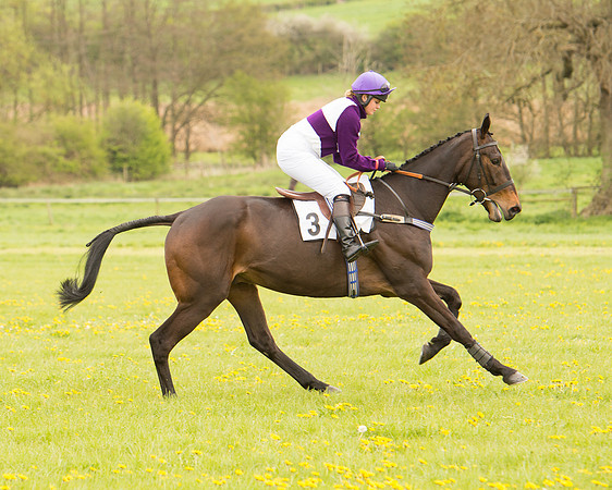 Race 2 - Aga Open Maiden (26 of 151).jpg