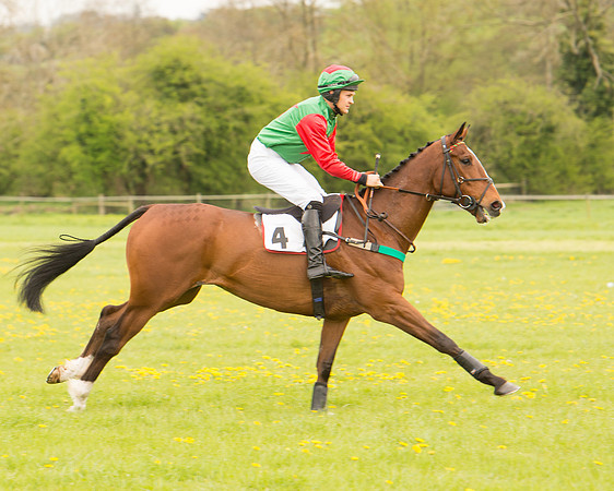 Race 2 - Aga Open Maiden (27 of 151).jpg