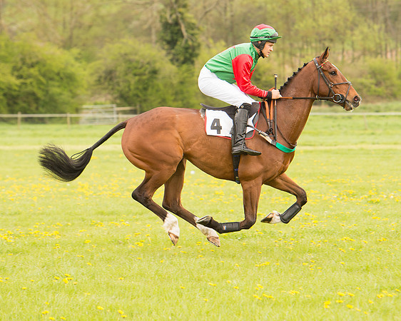 Race 2 - Aga Open Maiden (28 of 151).jpg