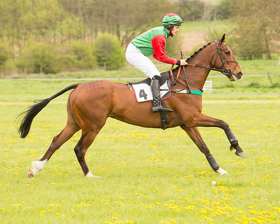 Race 2 - Aga Open Maiden (29 of 151).jpg