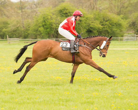 Race 2 - Aga Open Maiden (30 of 151).jpg