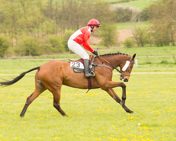 Race 2 - Aga Open Maiden (31 of 151).jpg