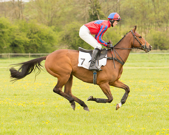 Race 2 - Aga Open Maiden (32 of 151).jpg