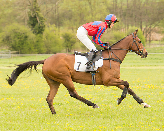 Race 2 - Aga Open Maiden (33 of 151).jpg