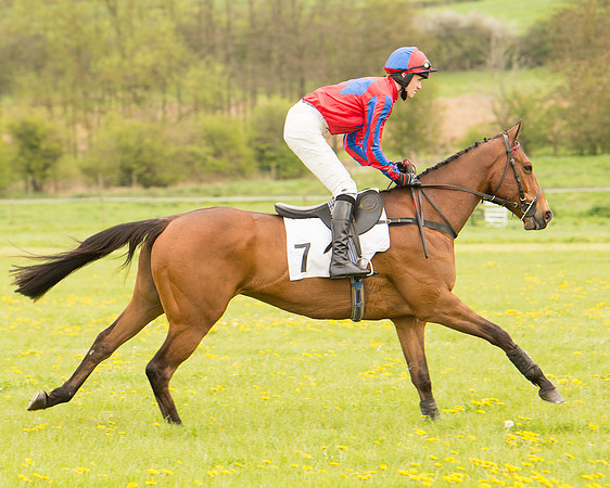 Race 2 - Aga Open Maiden (34 of 151).jpg