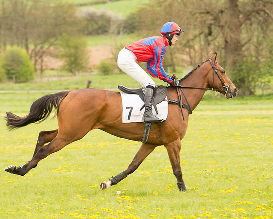 Race 2 - Aga Open Maiden (35 of 151).jpg