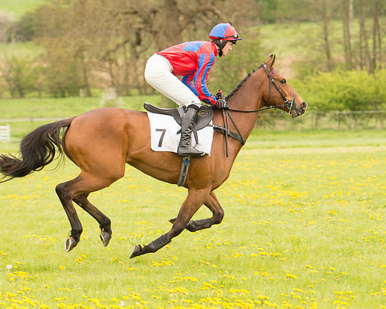 Race 2 - Aga Open Maiden (36 of 151).jpg