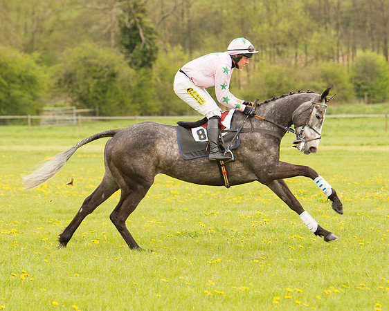 Race 2 - Aga Open Maiden (38 of 151).jpg