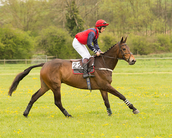 Race 2 - Aga Open Maiden (39 of 151).jpg
