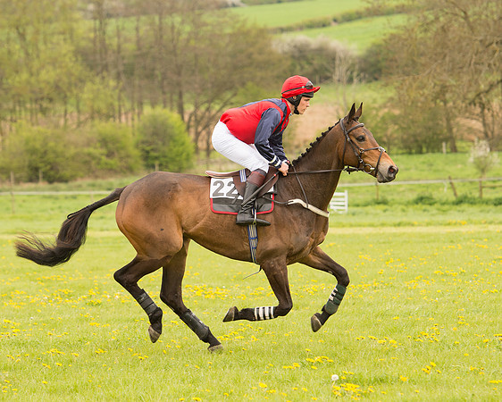 Race 2 - Aga Open Maiden (41 of 151).jpg