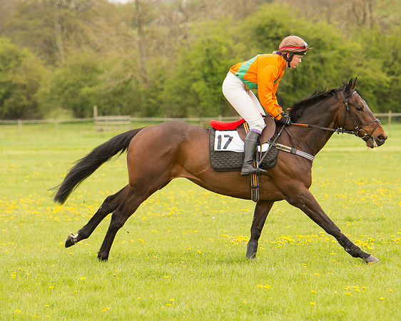 Race 2 - Aga Open Maiden (42 of 151).jpg