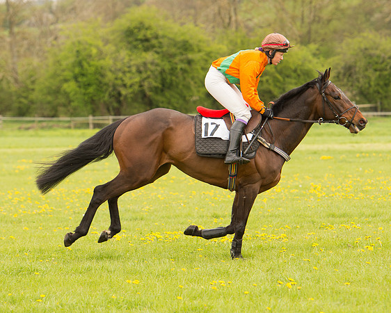 Race 2 - Aga Open Maiden (43 of 151).jpg