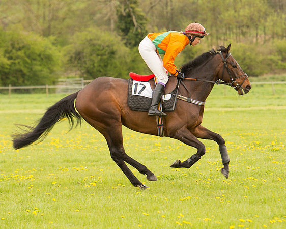 Race 2 - Aga Open Maiden (44 of 151).jpg
