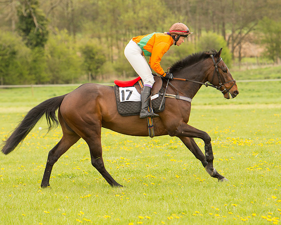 Race 2 - Aga Open Maiden (45 of 151).jpg