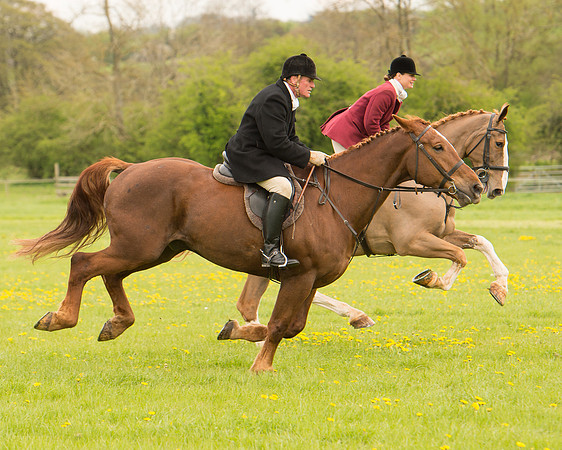 Race 2 - Aga Open Maiden (46 of 151).jpg