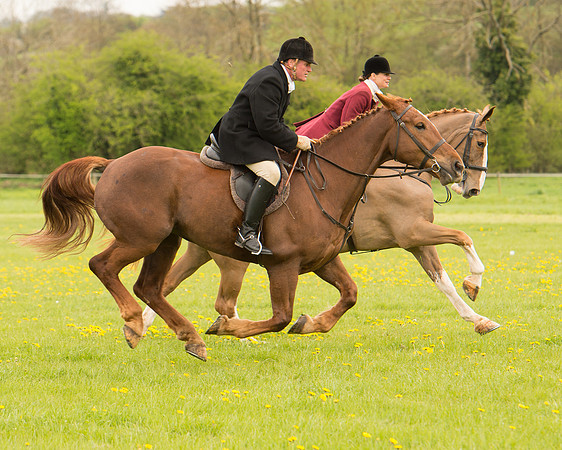 Race 2 - Aga Open Maiden (47 of 151).jpg
