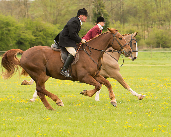 Race 2 - Aga Open Maiden (48 of 151).jpg