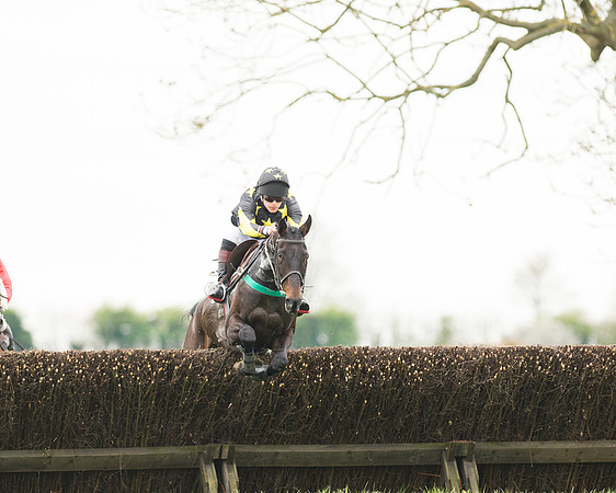 Race 2 - Aga Open Maiden (50 of 151).jpg