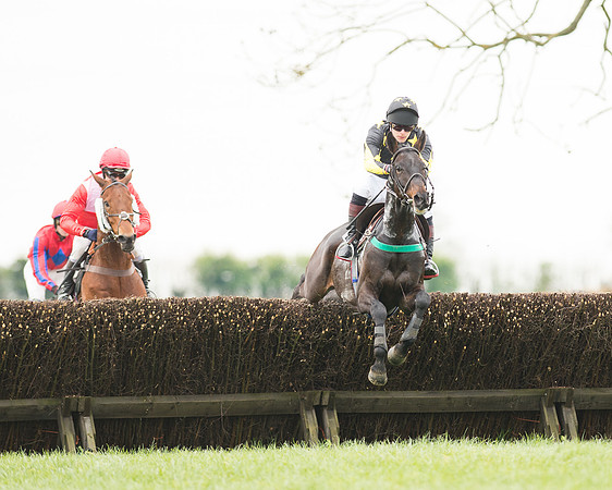 Race 2 - Aga Open Maiden (51 of 151).jpg
