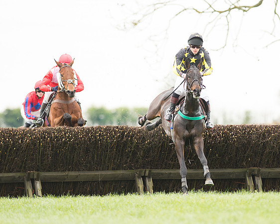 Race 2 - Aga Open Maiden (52 of 151).jpg