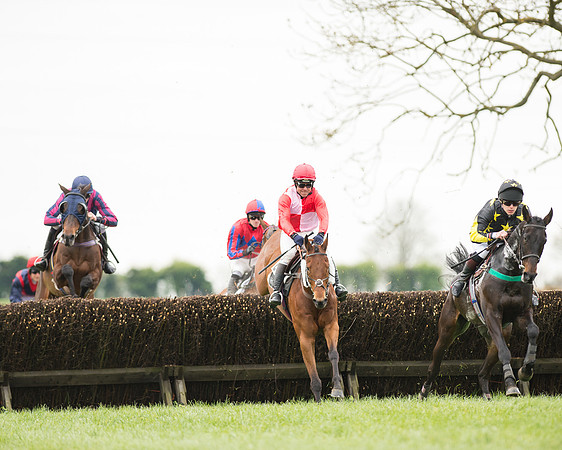 Race 2 - Aga Open Maiden (55 of 151).jpg