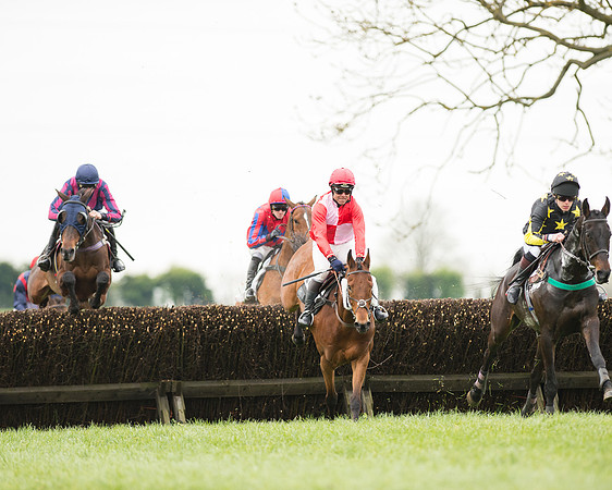Race 2 - Aga Open Maiden (56 of 151).jpg
