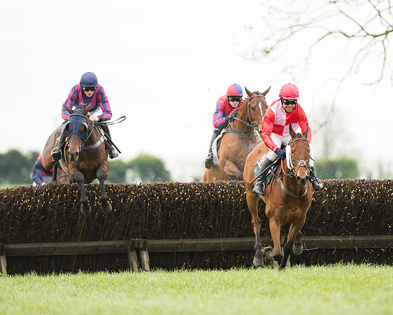 Race 2 - Aga Open Maiden (57 of 151).jpg