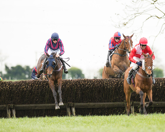 Race 2 - Aga Open Maiden (58 of 151).jpg