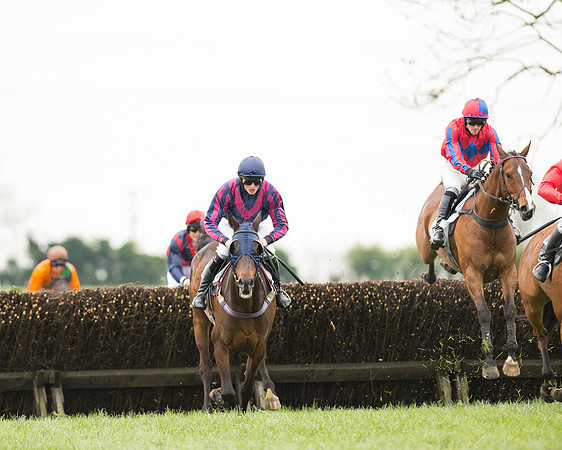Race 2 - Aga Open Maiden (60 of 151).jpg