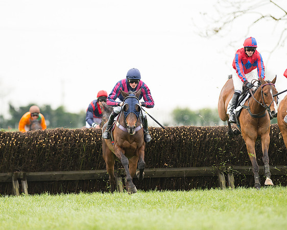 Race 2 - Aga Open Maiden (61 of 151).jpg