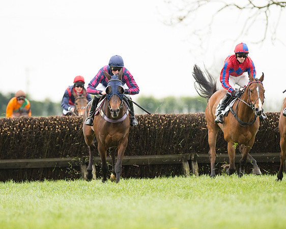 Race 2 - Aga Open Maiden (63 of 151).jpg