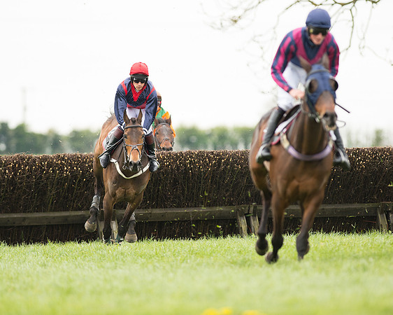 Race 2 - Aga Open Maiden (67 of 151).jpg